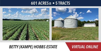 Property in Iroquois County, Illinois