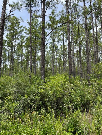 Property in Ware County, Georgia