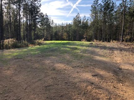 Property in Lincoln County, Mississippi