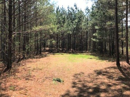 Property in Franklin County, Alabama