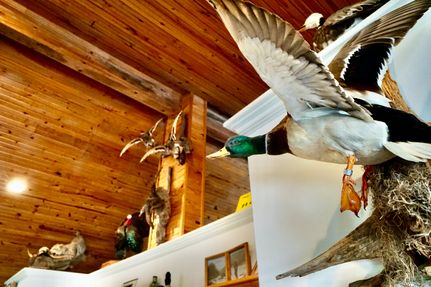 Property in Lafayette County, Arkansas