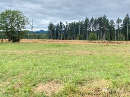 Property in Lewis County, Washington