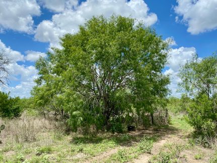 Property in Live Oak County, Texas