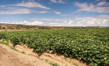 Property in Dona Ana County, New Mexico