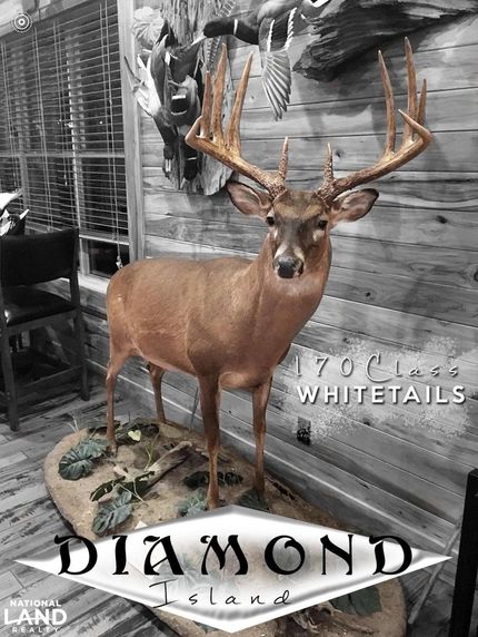 Property in Warren County, Mississippi