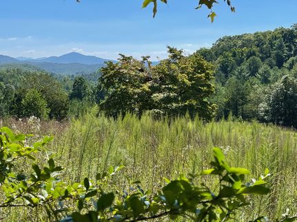 Property in Clay County, North Carolina