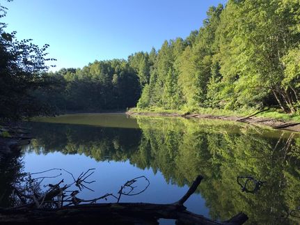 Property in Pittsylvania County, Virginia