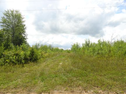 Property in Iron County, Michigan