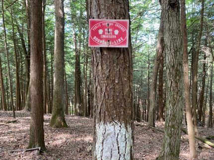 Property in Clarion County, Pennsylvania