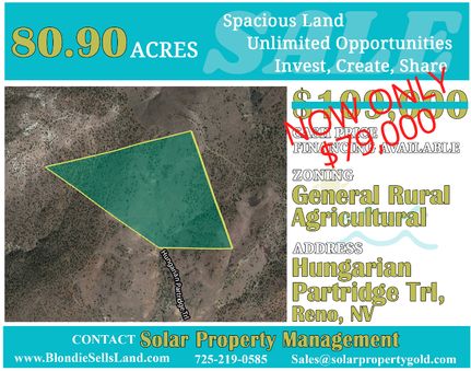 Property in Washoe County, Nevada