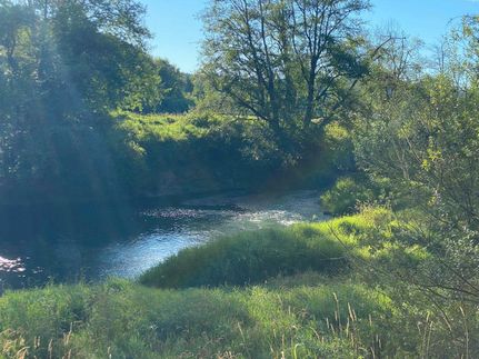 Property in Lewis County, Washington