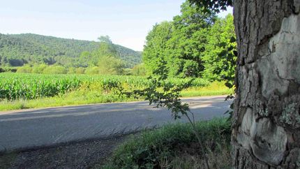 Property in Schoharie County, New York