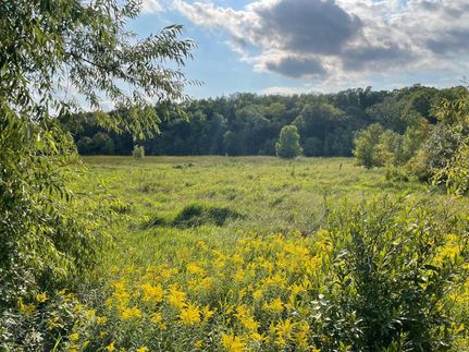 Property in Rice County, Minnesota