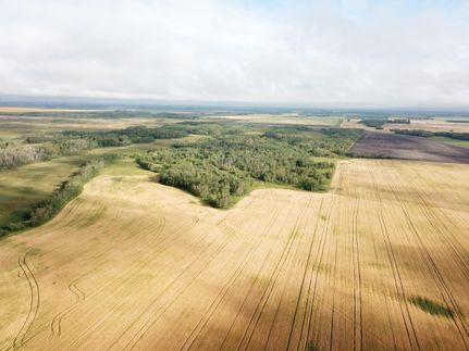 Property in Marshall County, Minnesota