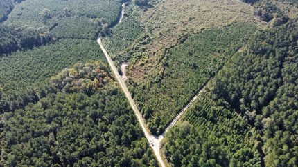 Property in Dorchester County, South Carolina