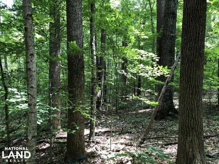 Property in Allen County, Kentucky