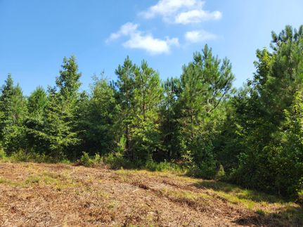 Property in Washington County, Georgia