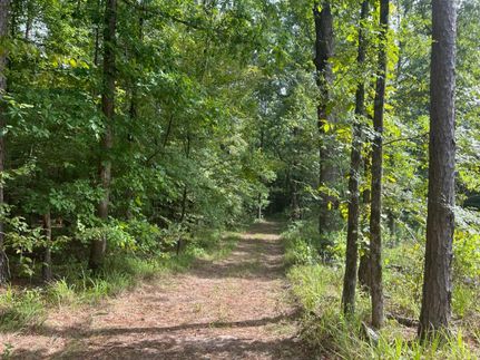 Property in Cass County, Texas