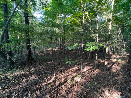 Property in Bartow County, Georgia