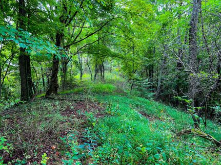 Property in Tyler County, West Virginia