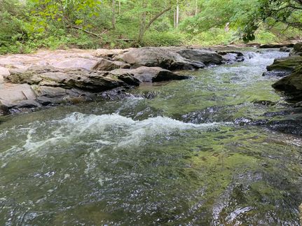 Property in Polk County, North Carolina