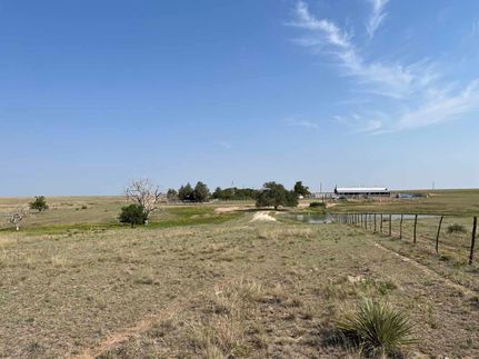 Property in Moore County, Texas