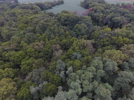 Property in Schuyler County, Illinois