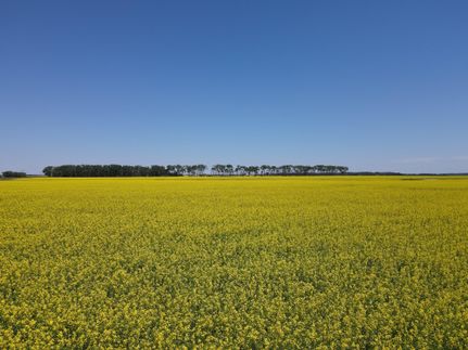 Property in Bottineau County, North Dakota