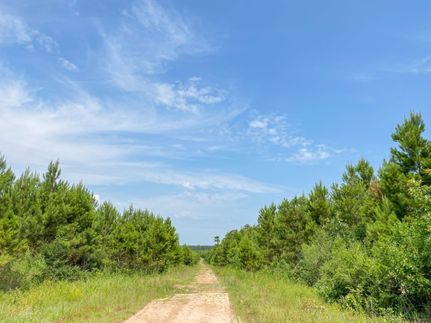 Property in Polk County, Texas