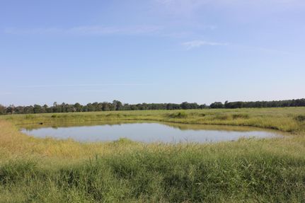 Farm Property for sale in Angelina County, Texas