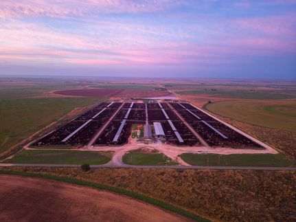 Property in Roosevelt County, New Mexico