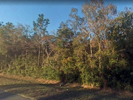 Property in Gulf County, Florida