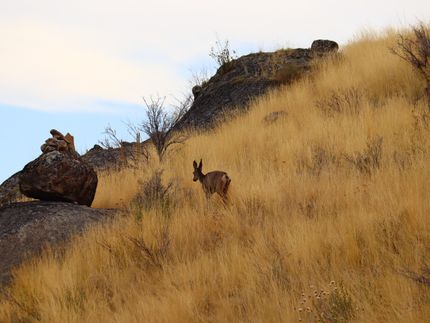 Property in Okanogan County, Washington