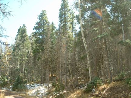 Property for sale in Costilla County, Colorado