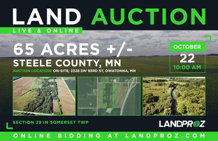 Property in Steele County, Minnesota