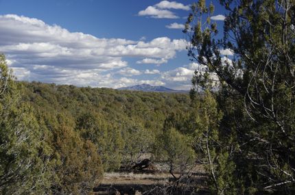 Property in Yavapai County, Arizona