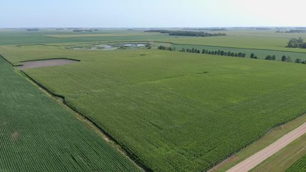 Property in Lac qui Parle County, Minnesota