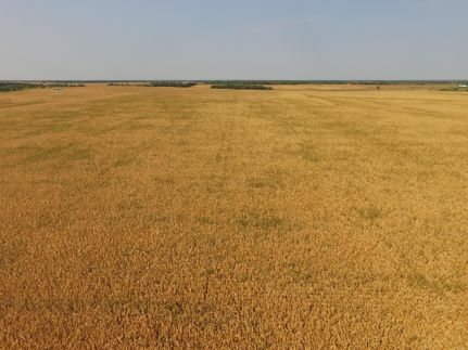 Property in Scotland County, Missouri