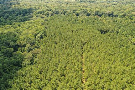 Property in Winston County, Mississippi