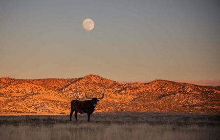 Property in San Miguel County, Colorado