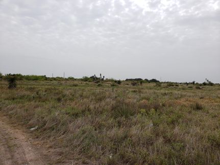 Property in Cameron County, Texas