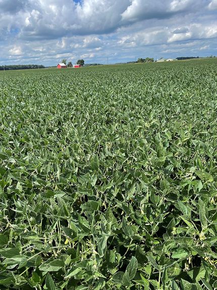 Property in Wells County, Indiana