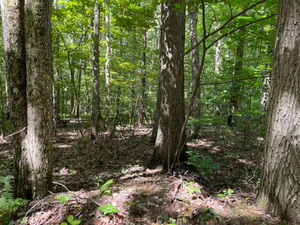 Property in Indiana County, Pennsylvania