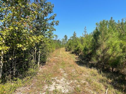 Property in Edgecombe County, North Carolina