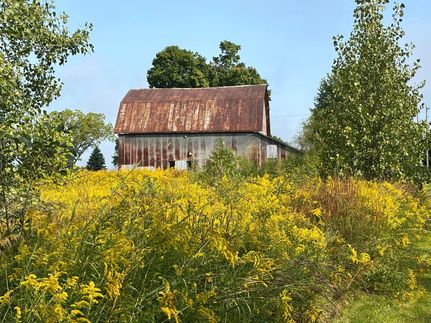Property in Calhoun County, Michigan