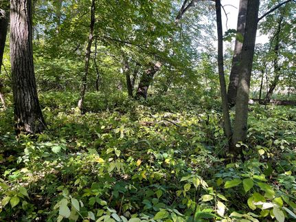 Property in Meeker County, Minnesota