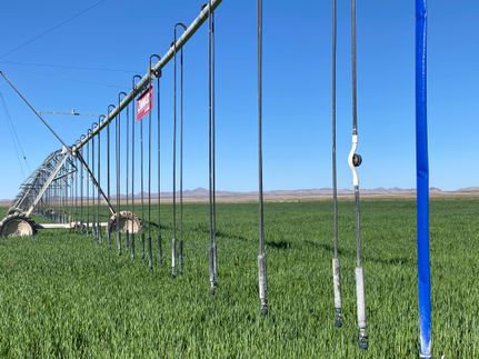 Property in Hidalgo County, New Mexico