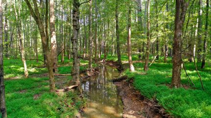 Property in Taliaferro County, Georgia