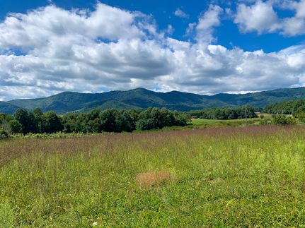 Property in Carroll County, Virginia