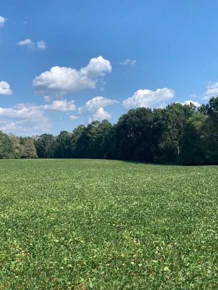 Property in Newberry County, South Carolina